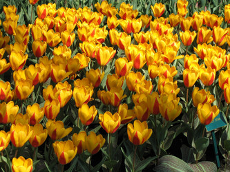 Similar image 132132