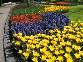 Similar image 132134