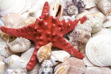 Similar image 132142