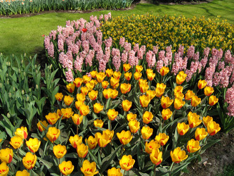 Similar image 132153