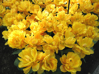 Similar image 132158