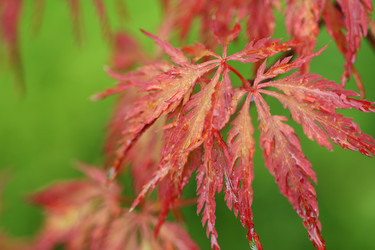 Similar image 132164