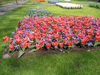 Similar image 132187