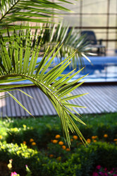 Similar image 132191