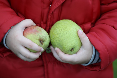 Similar image 132219