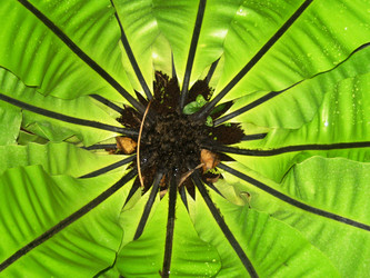 Similar image 132262