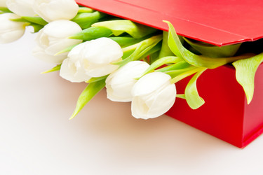 Similar image 132291