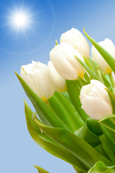 Similar image 132296