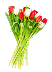 Similar image 132297