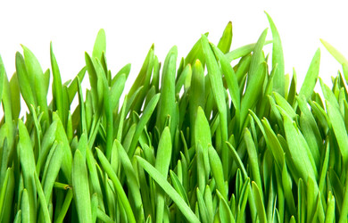 Similar image 132304