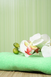 Similar image 132319