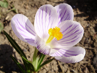 Similar image 132327