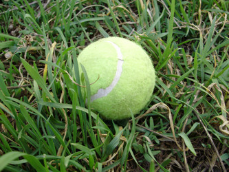 Similar image 132331