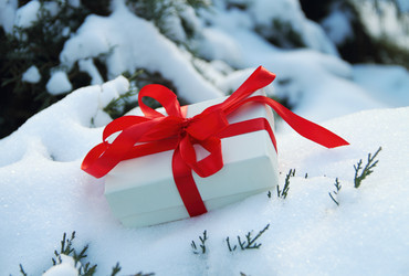 Similar image 132354