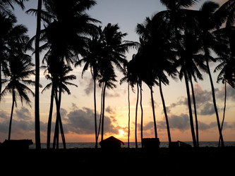 Similar image 132397