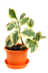 Similar image 132425