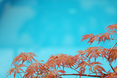 Similar image 132536