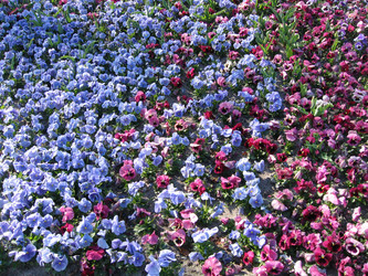 Similar image 132551