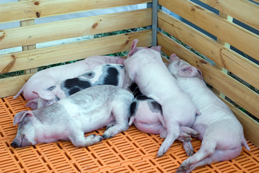 Similar image 132573