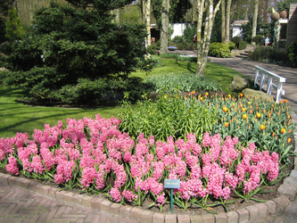 Similar image 132587