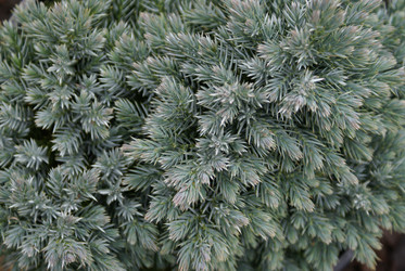 Similar image 132609