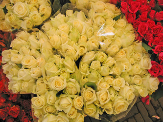 Similar image 132615