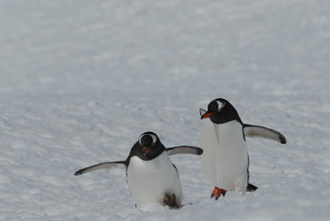 Similar image 132647