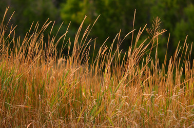 Similar image 132683