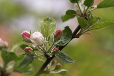 Similar image 132697