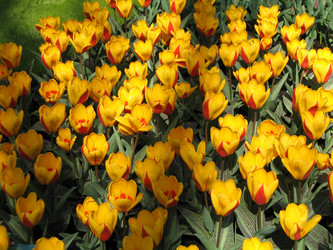 Similar image 132702