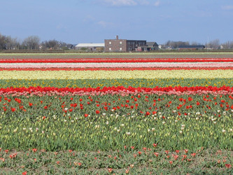 Similar image 132703