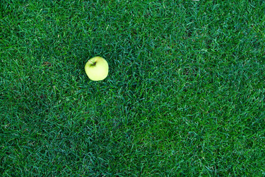 Similar image 132711