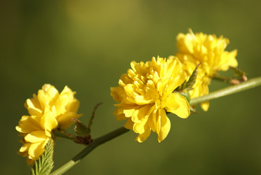 Similar image 132812