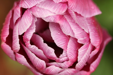 Similar image 132882