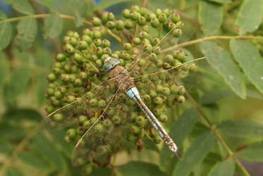 Similar image 133004