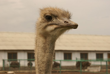 Similar image 133009