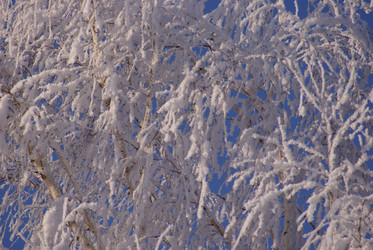 Similar image 133015