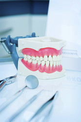 Similar image 133026