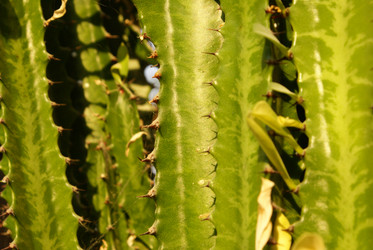 Similar image 133054