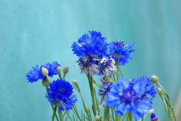 Similar image 133059