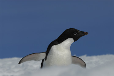 Similar image 133116