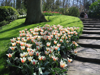 Similar image 133129