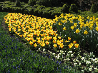 Similar image 133130