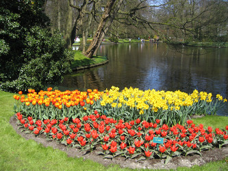 Similar image 133131