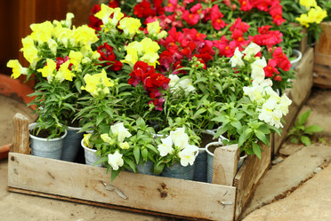 Similar image 133142