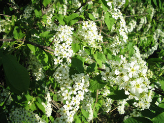 Similar image 133149