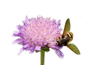 Similar image 133166