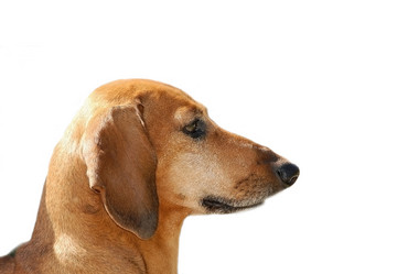 Similar image 133189