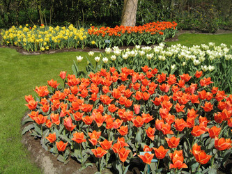 Similar image 133192