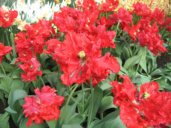 Similar image 133194